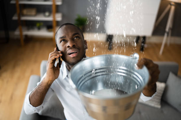 Best Flooded house restoration  in Wortham, TX