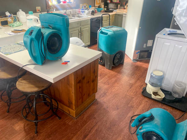 Best Water damage cleanup near me  in Wortham, TX