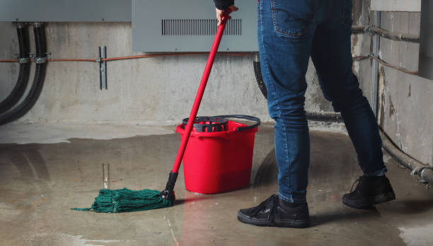 Best Water damage restoration near me  in Wortham, TX