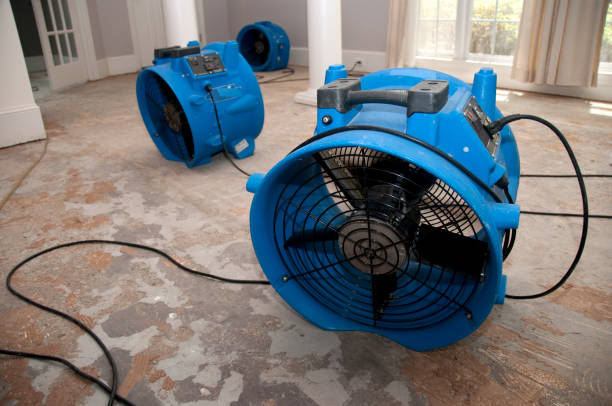 Trusted TX Water damage restoration Experts