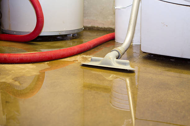 Best Professional water damage repair  in Wortham, TX
