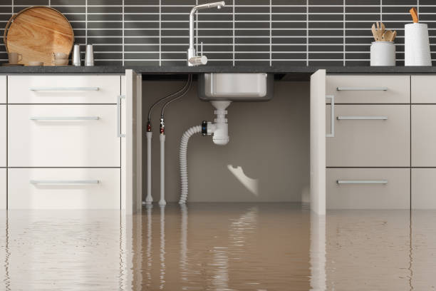Best Carpet water damage restoration  in Wortham, TX